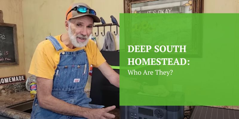 Deep South Homestead Who Are They