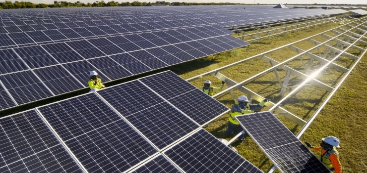 Multiple workers installing a solar panel farm in a field